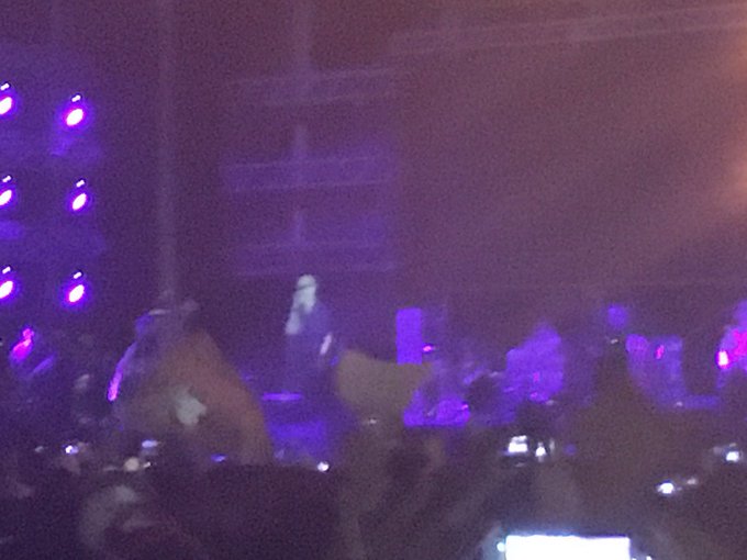 La noche en que el Indio fue un holograma laubfal